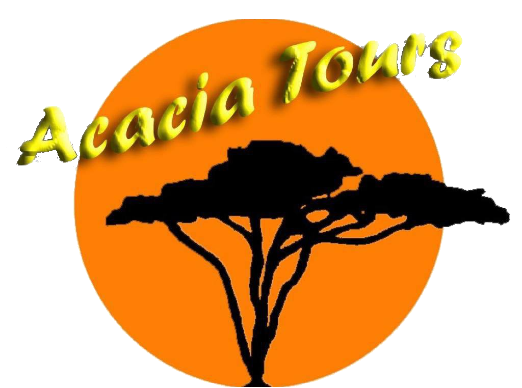 Acacia Tours Logo